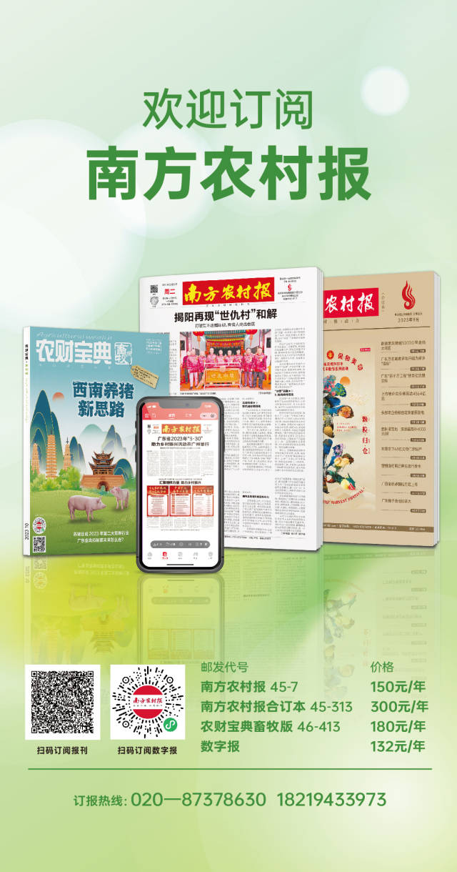 广东乡村歌手大赛季军陈英华:《南方农村报》照亮我的音乐梦