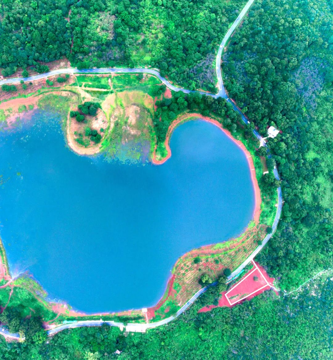 拾貝湖樟樹公園可以說是芙蓉新城片區的騎行徒步的好去處!