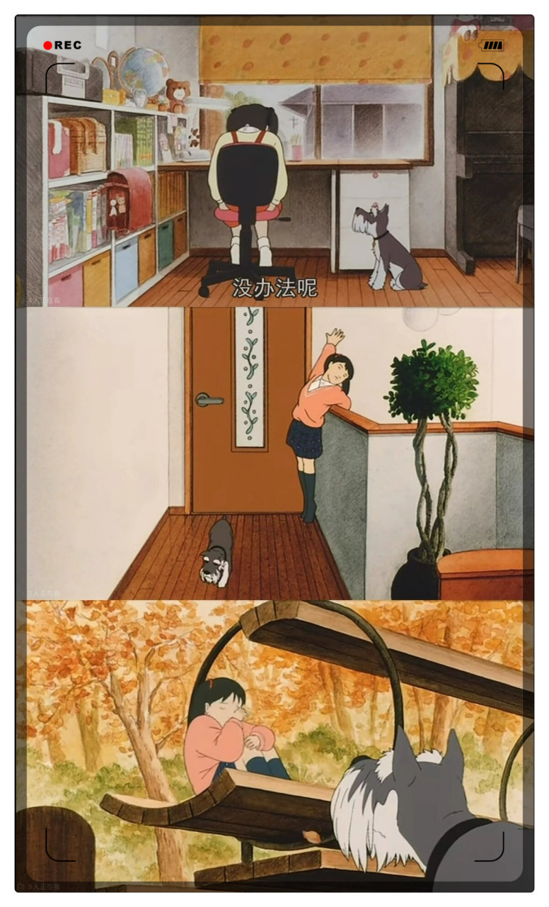 🌿动漫名:《祈愿物语》  🌿国家:日本  🌿片长:105分钟  🌿