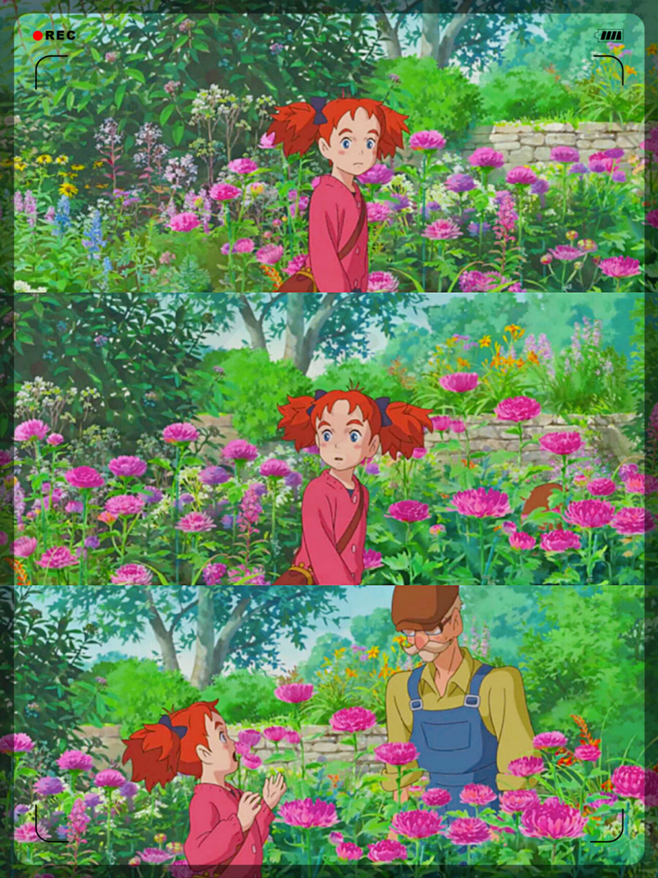 日本超治愈的动漫,适合夏天看呀  90:玛丽与魔女之花 这部动漫时刻