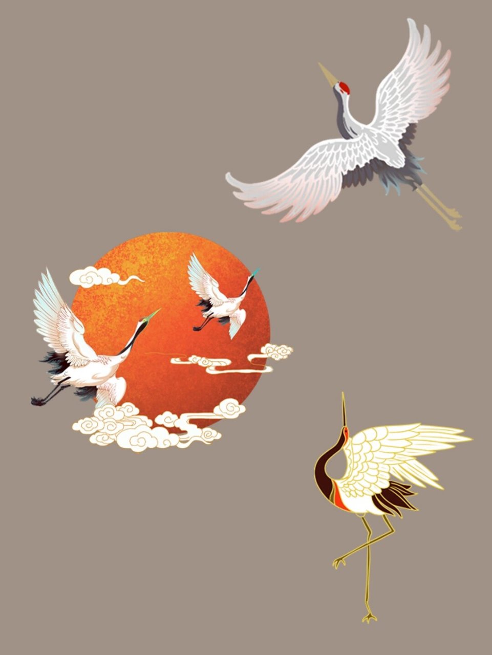 它们优雅地展翅飞翔,身上散发出浓厚的中国风韵味.