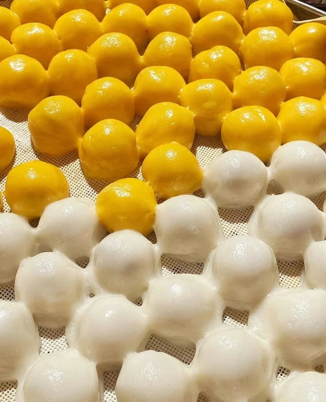 在寒风凛冽的北方,有一种食物温暖了无数人的胃和心,那就是粘豆包