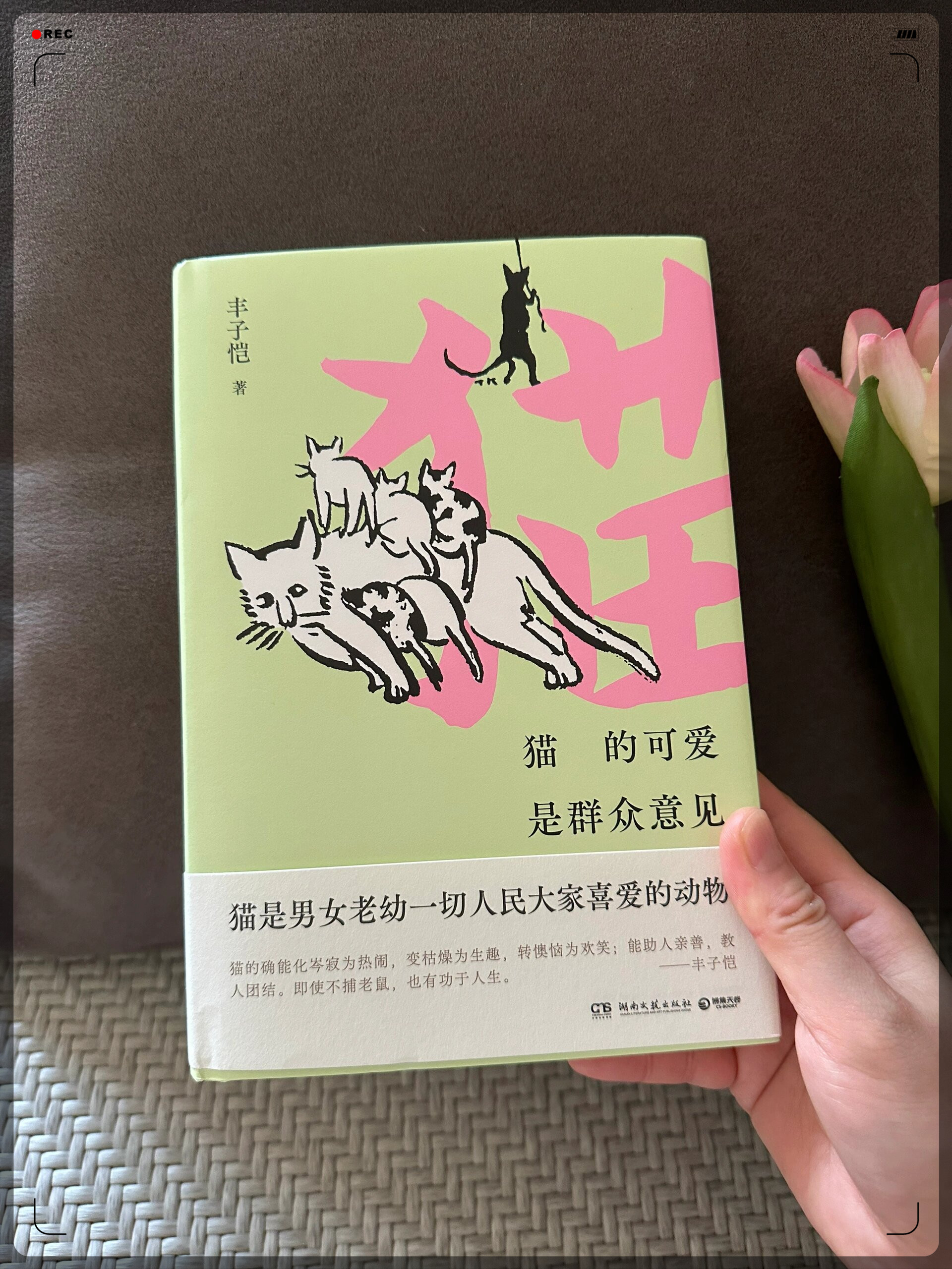 最近我收到了一本超级可爱的书令人心情愉悦的糖果色封面迅速吸引