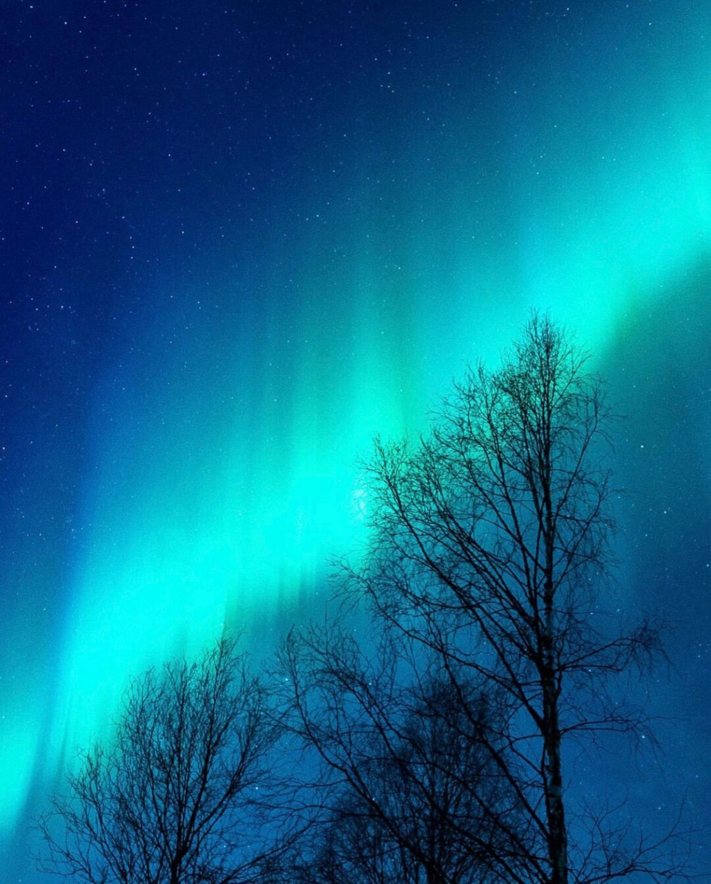 审美积累,雪中夜景  在雪中夜景的摄影作品中,美丽的画面令人陶醉.