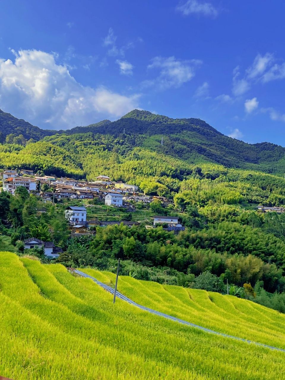 那就来贡鸭山吧!这里不仅风景绝佳,而且完全免费哦!