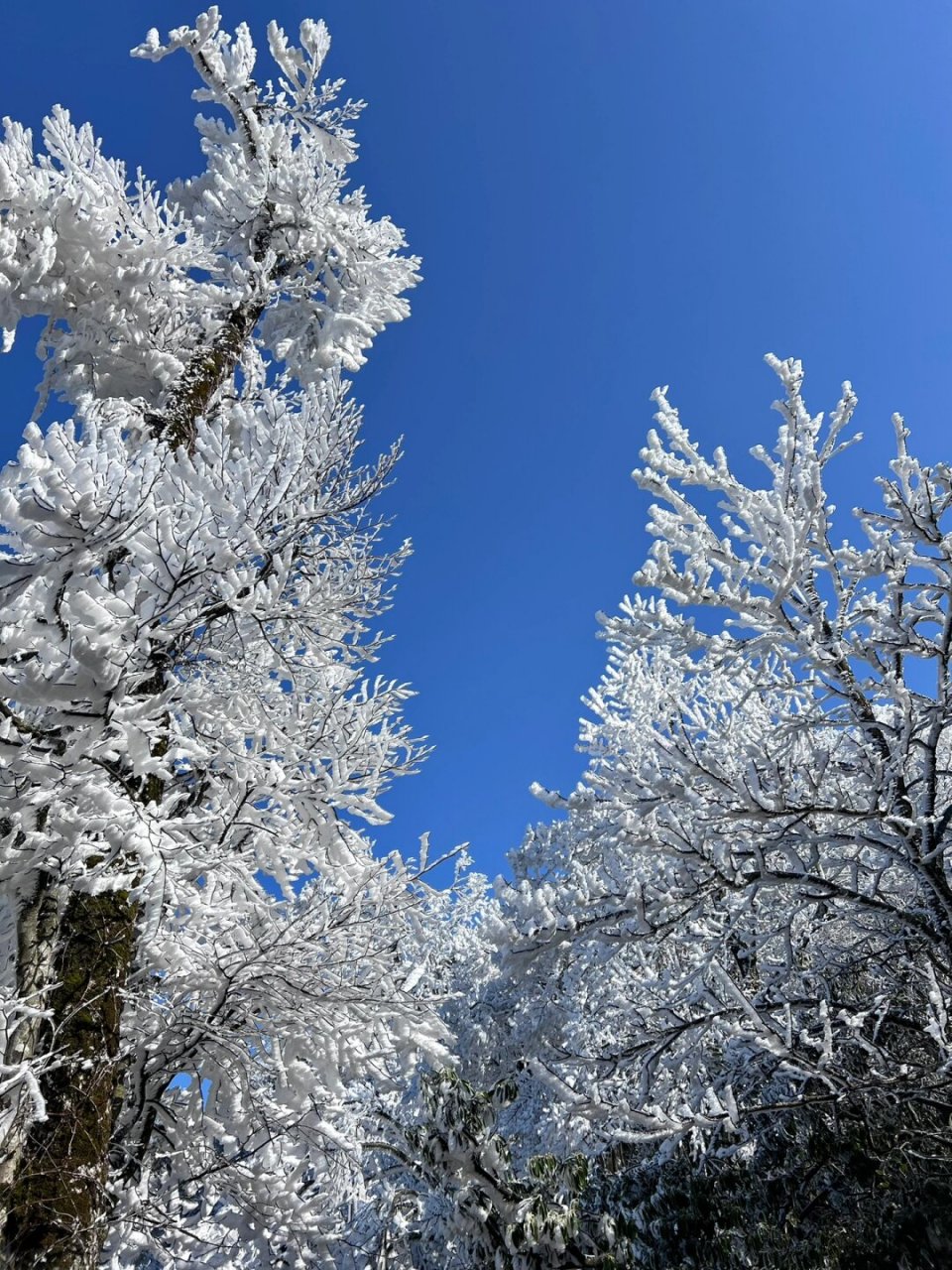 天门山雪景说说图片