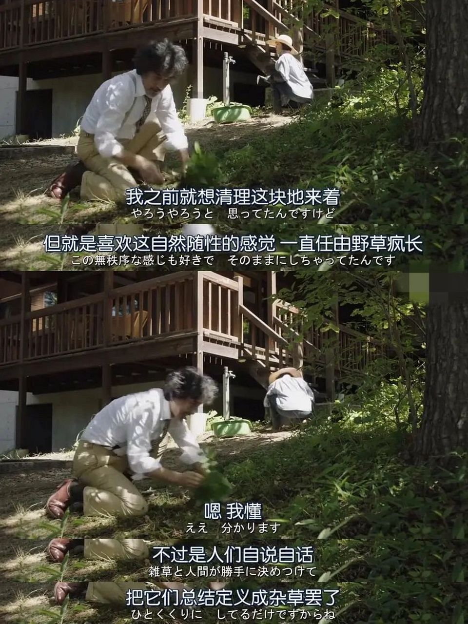 救命 这部高分日剧治好了我的精神内耗 森林民宿 治愈系日剧!
