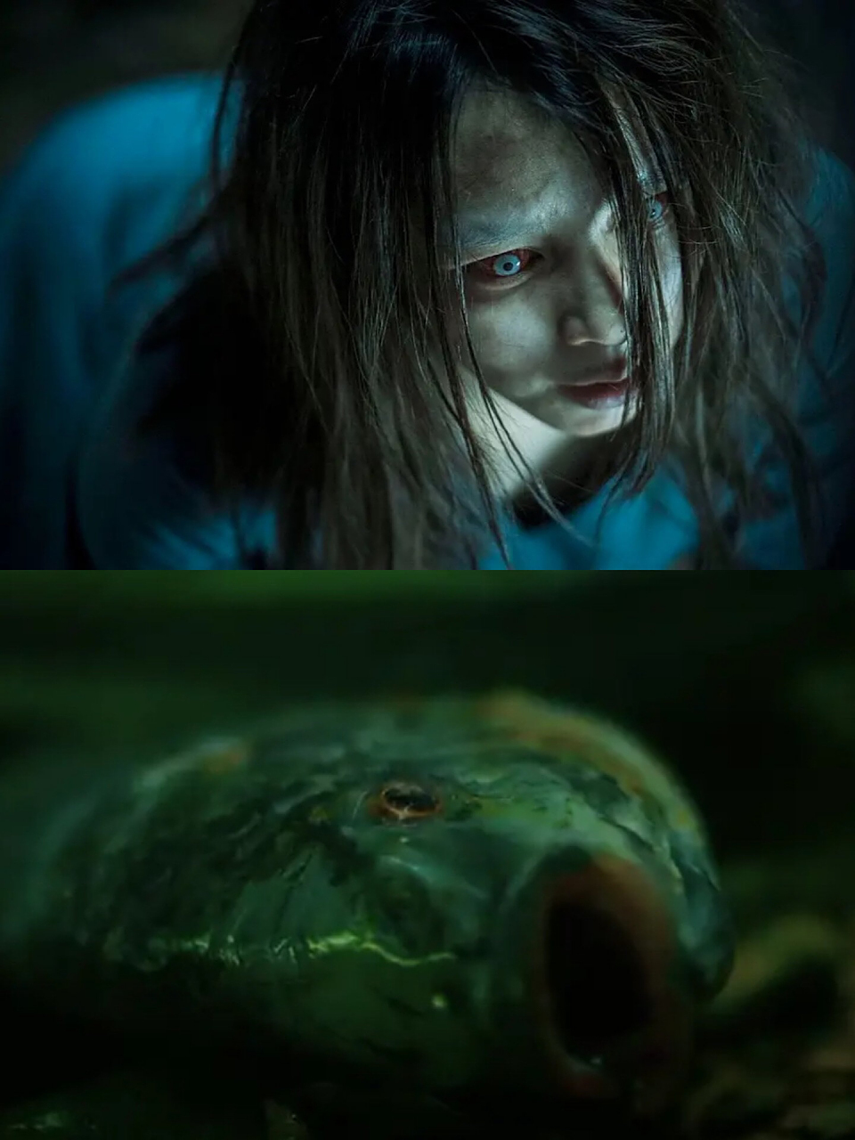 《人面鱼》|台湾省恐怖天花板系列  90《人面鱼:红衣小女孩外传》