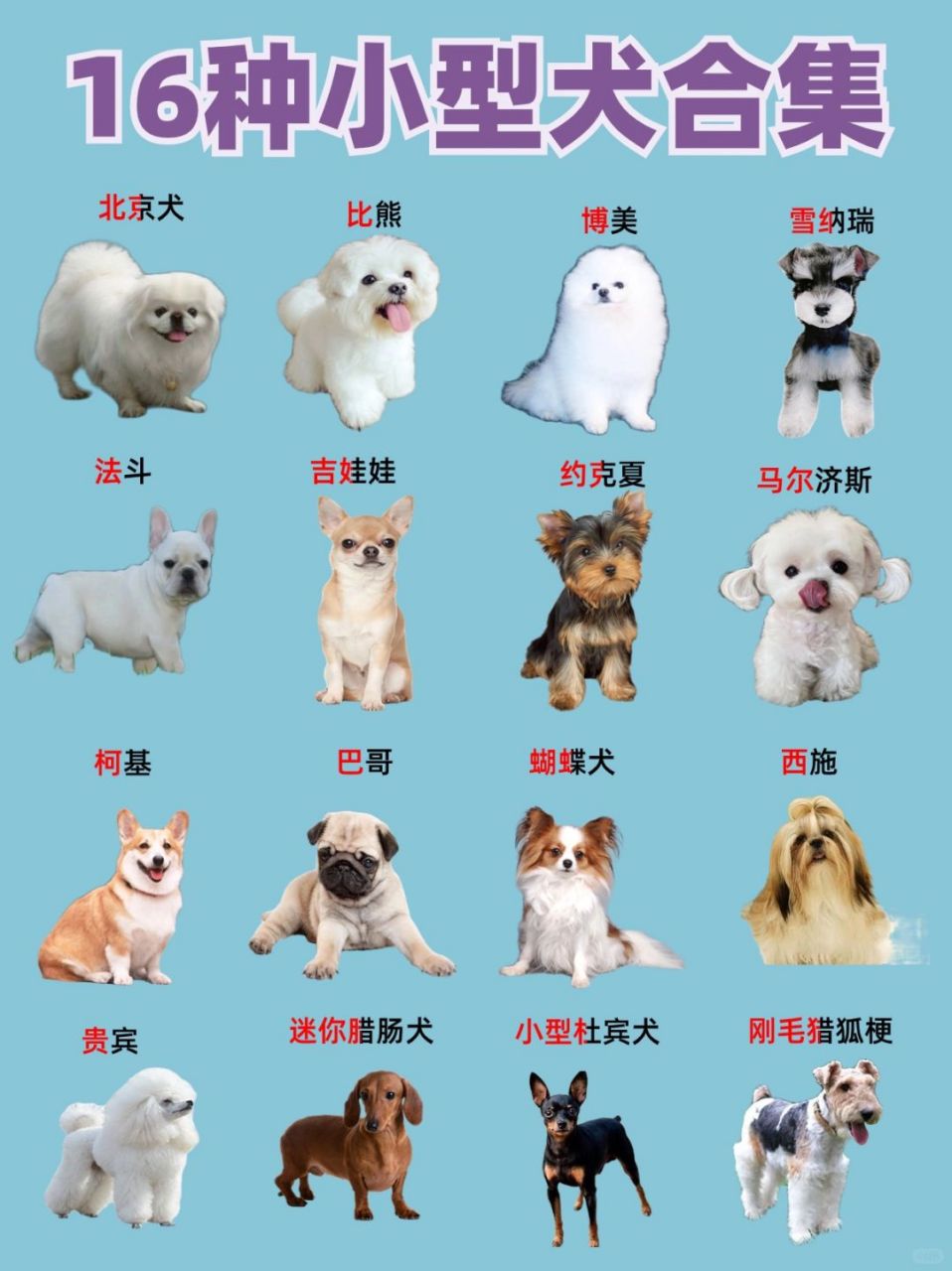 需要综合考虑性格特点,优缺点,易