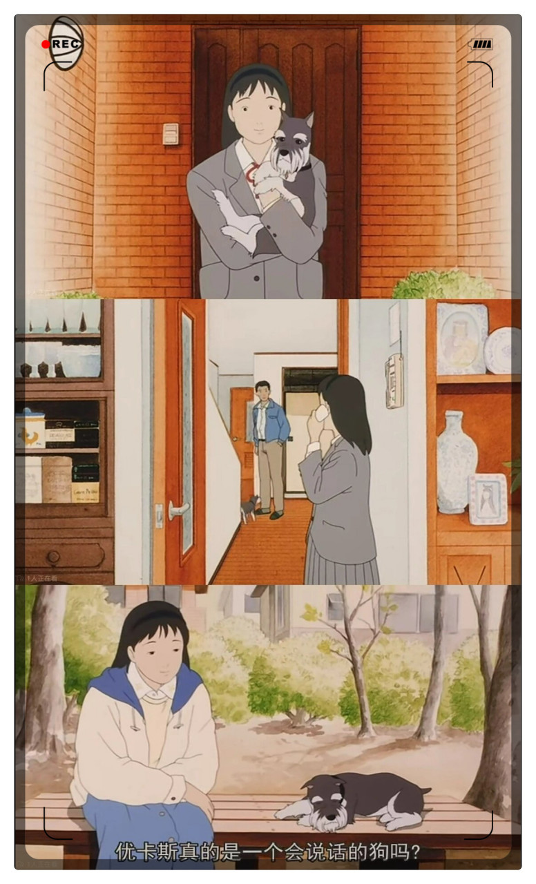 🌿动漫名:《祈愿物语》  🌿国家:日本  🌿片长:105分钟  🌿