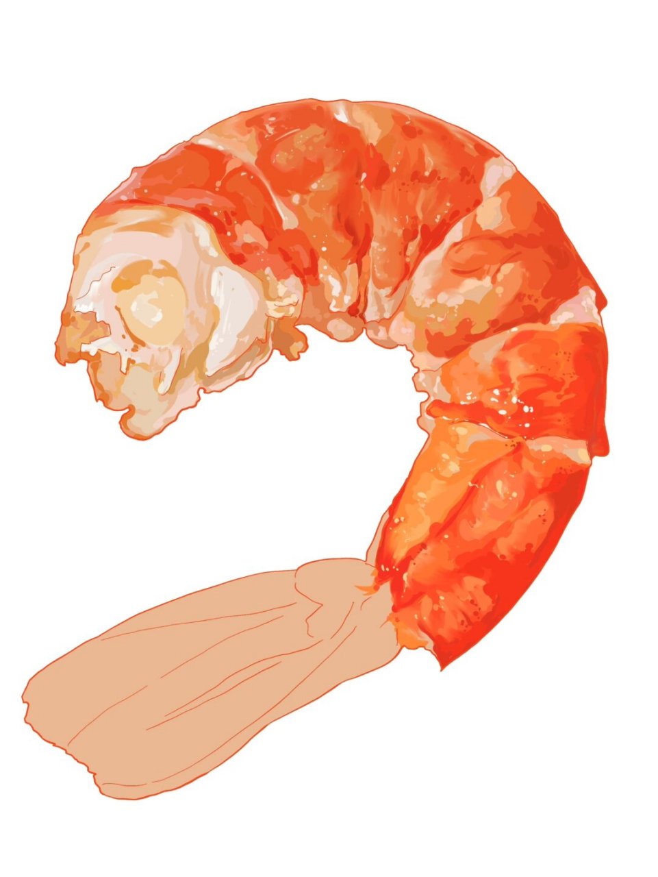 美食插画《虾系·生活》  我热爱色彩,特别是那些能