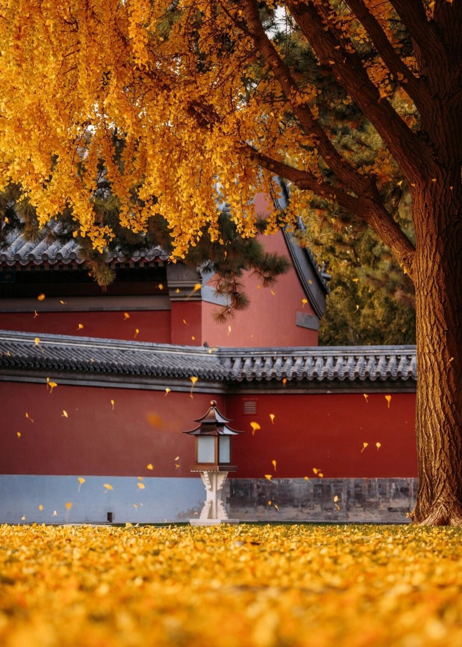 故宫学校文化  故宫,位于北京市中心,是中国明清两代的皇家宫殿,也是