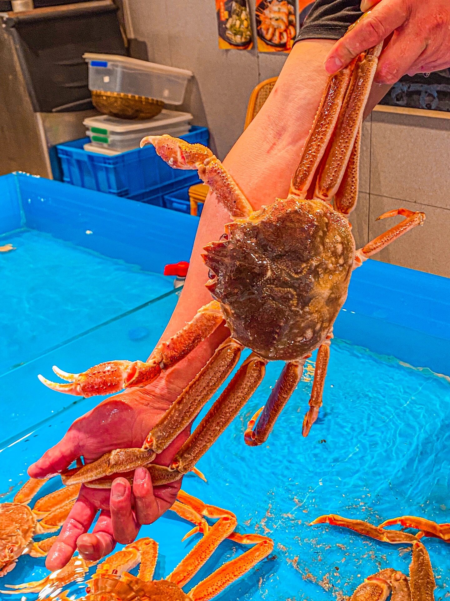 他们家的长脚蟹超新鲜,差不多跟手臂一样长,而且现在做活动,现在298就