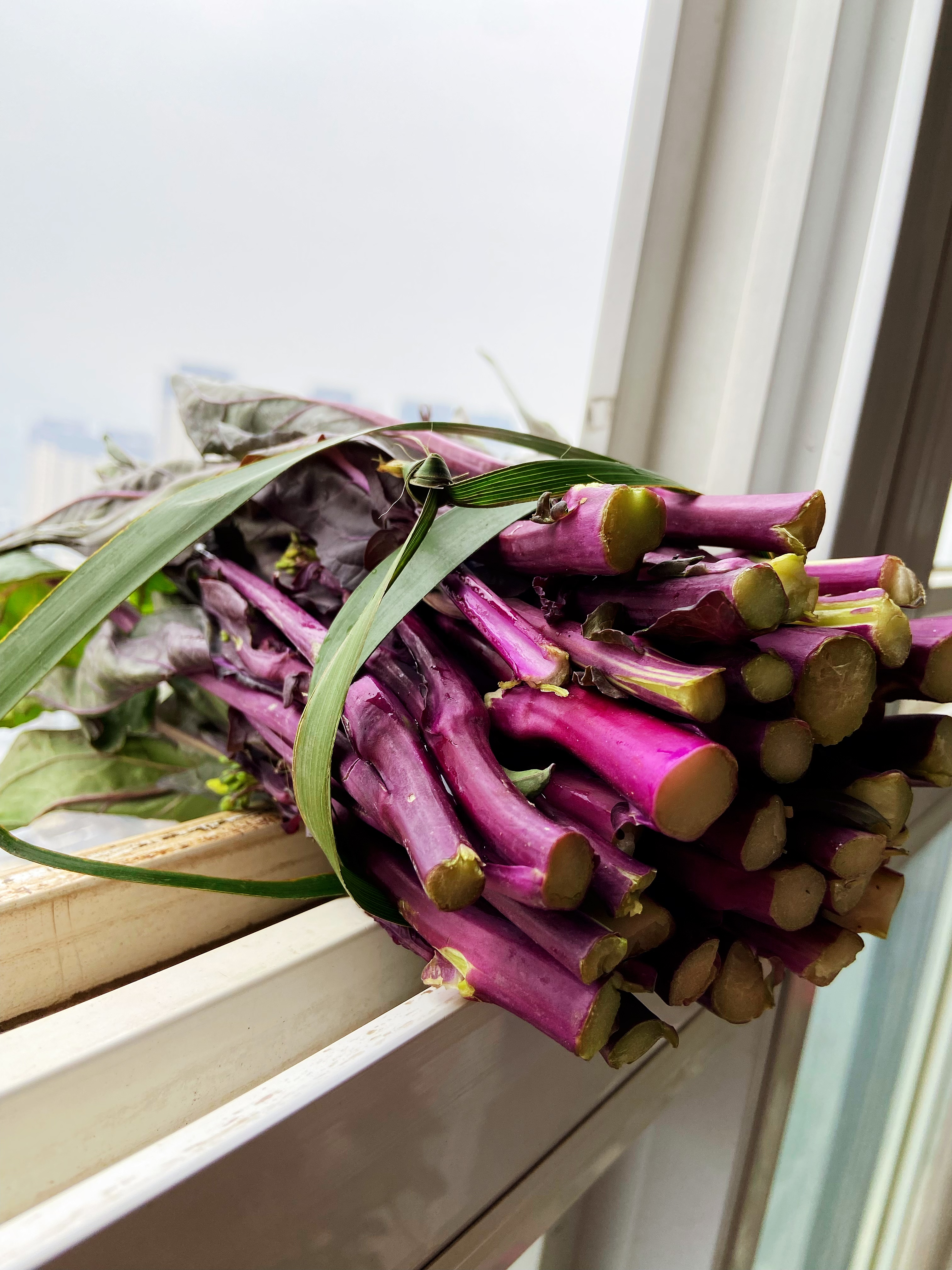 我家每天都吃紫菜苔,其中紫色的花青素,贝塔胡萝