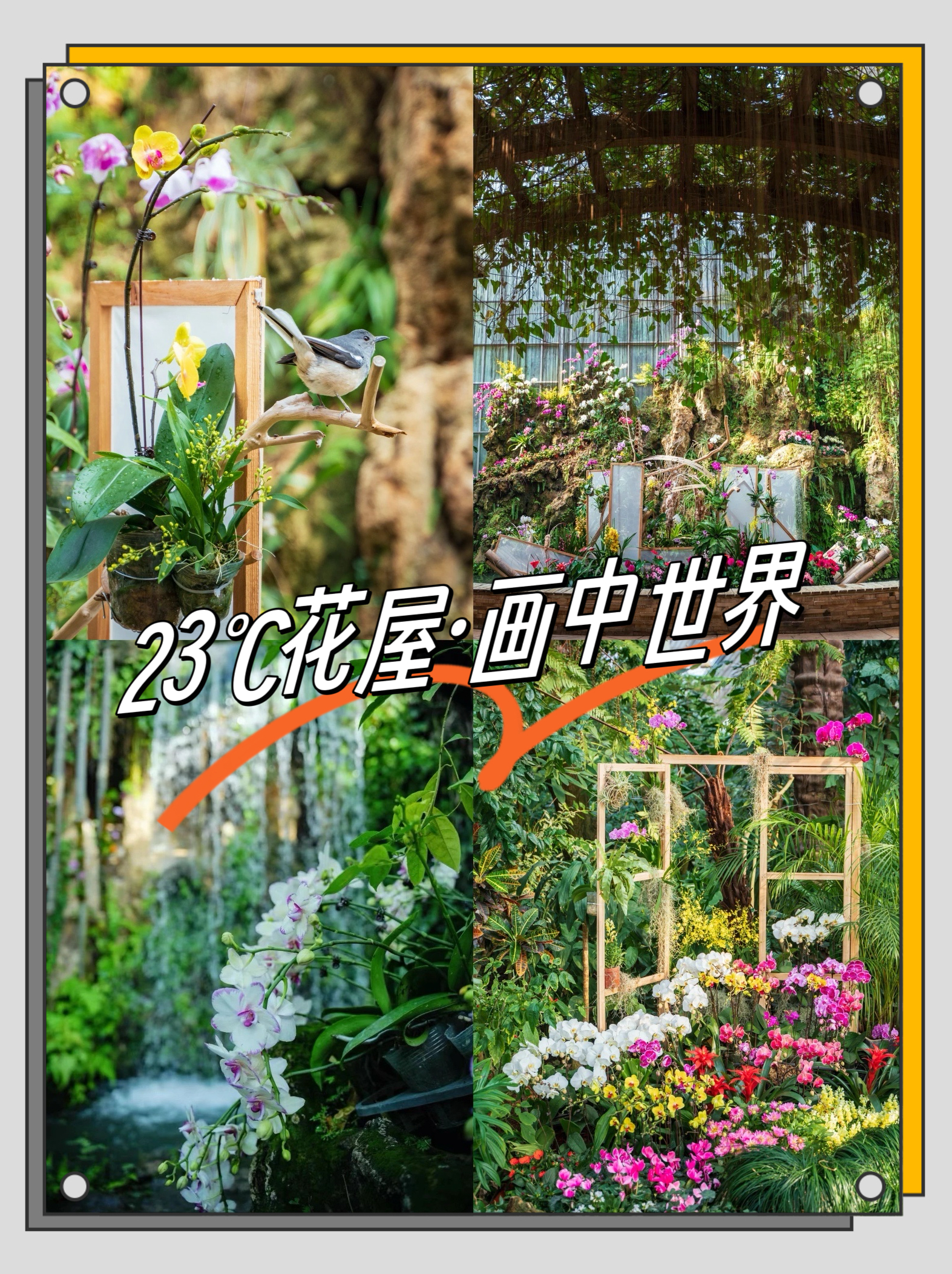 2024年武汉第一场花展就在中国科学院武汉植物园的温室景观里