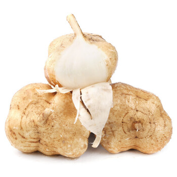 凉薯的功效与作用,小知识你必须要了解