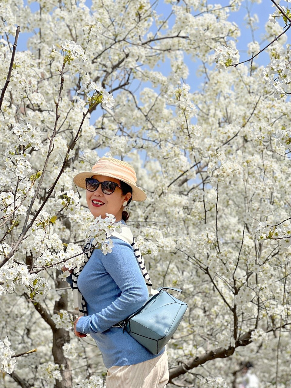 我舅妈,终于熬到退休年龄,前几天去办退休手续,却铩羽而归,没有办理