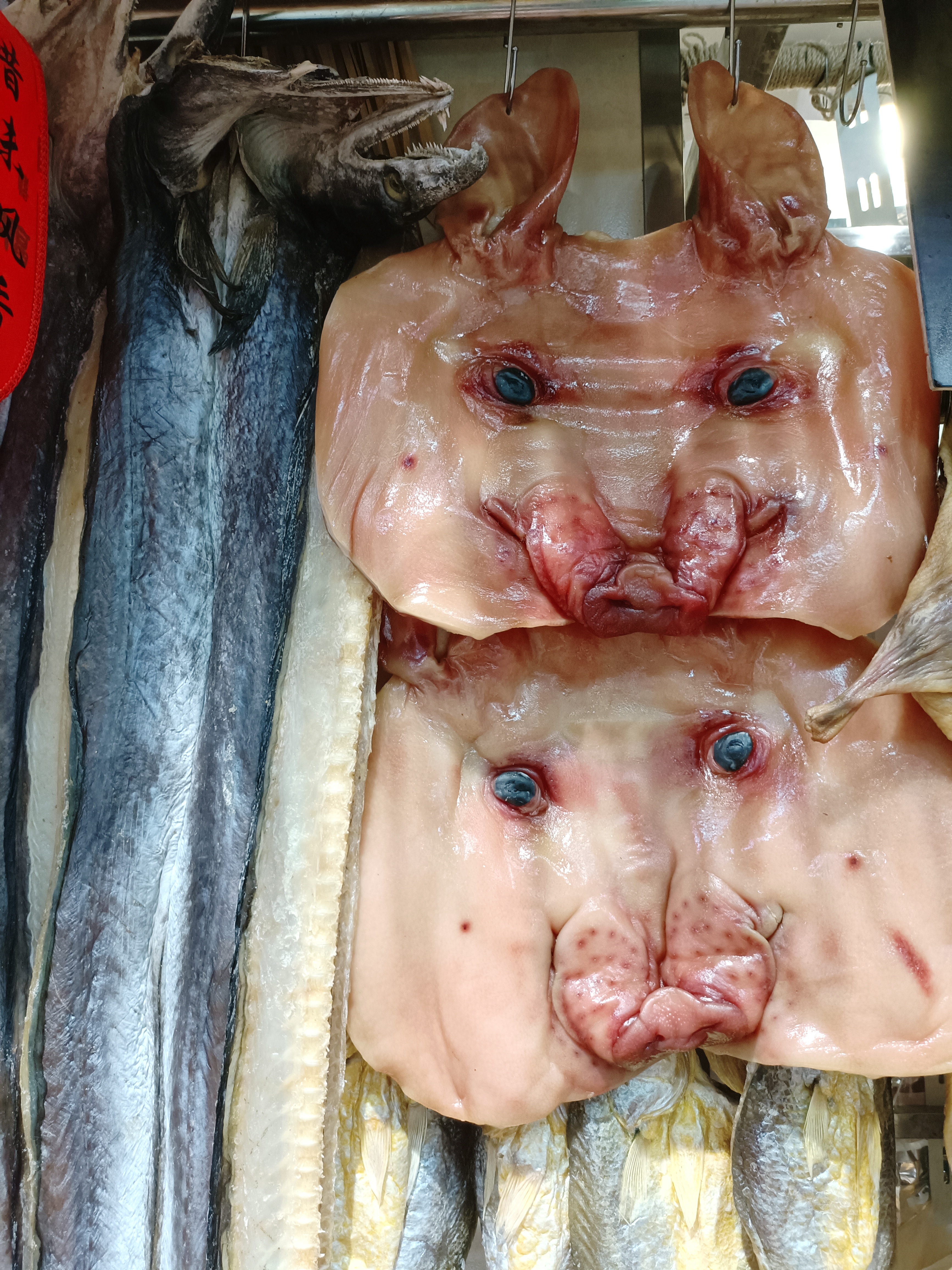 现在离春节尽管还有一个多月,然而乡下超市里已经年味儿很浓了