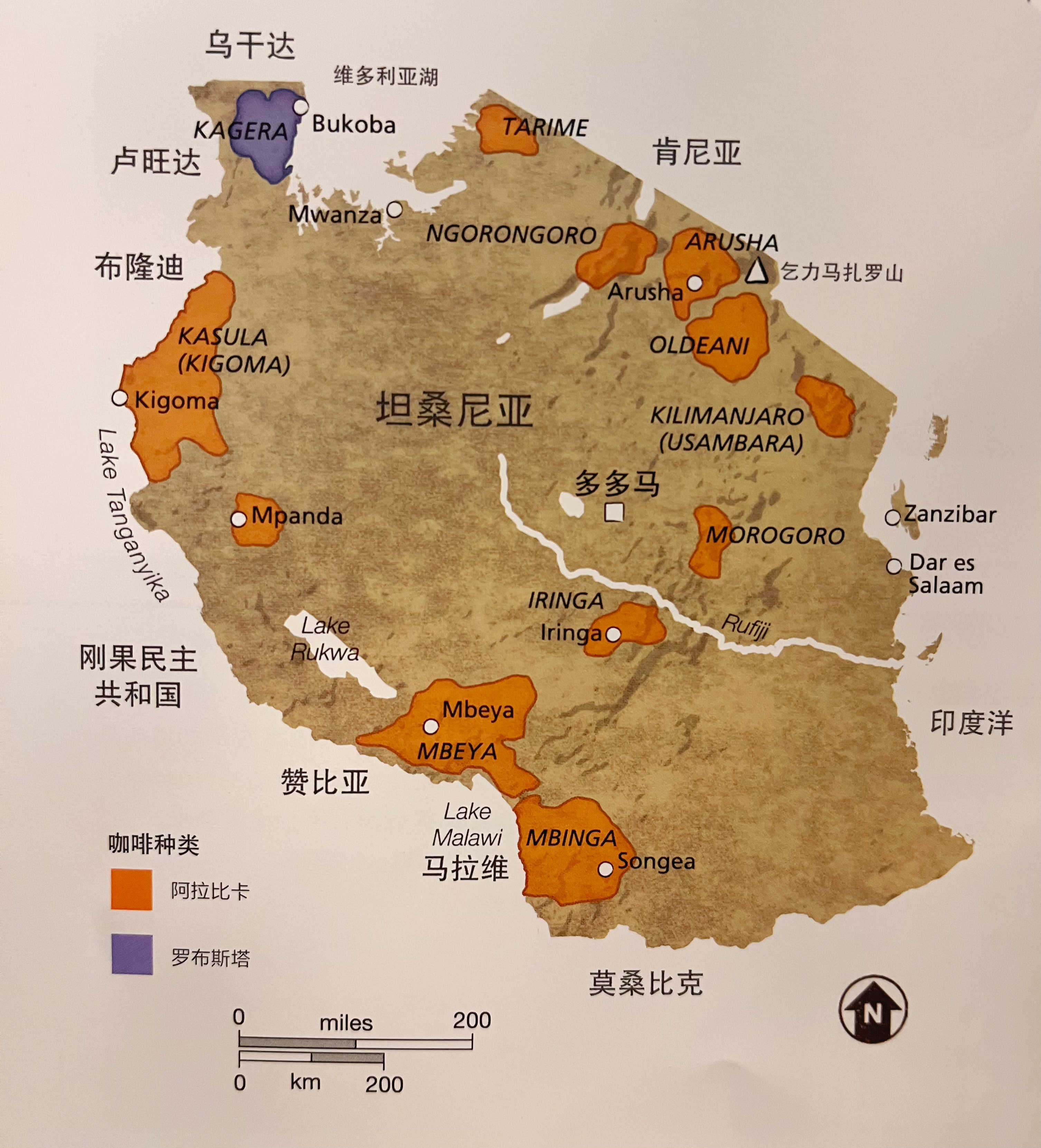 咖啡产区-非洲-坦桑尼亚