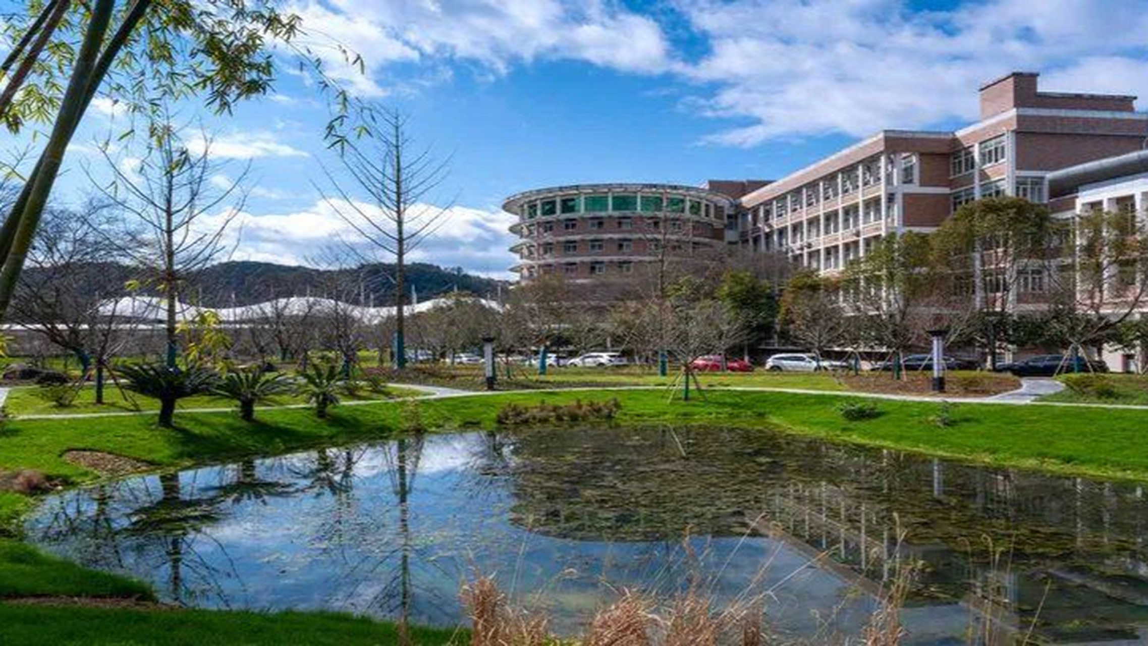 丽水学院医学与健康学院的起源可追溯至1965年的浙江省卫生学校.