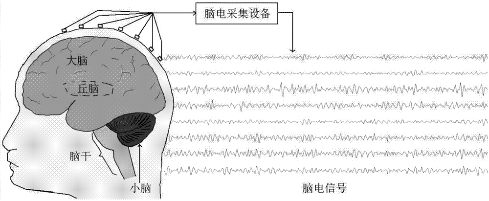 如何证明我们的世界是真实而不是虚拟的?大脑:你无法证明!