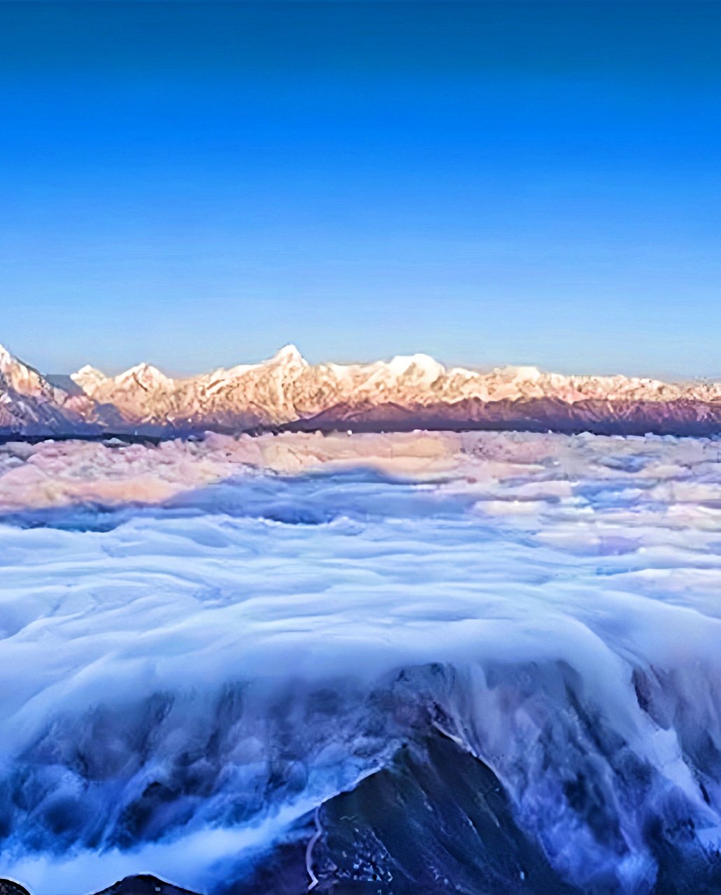 雅安市牛背山景区图片