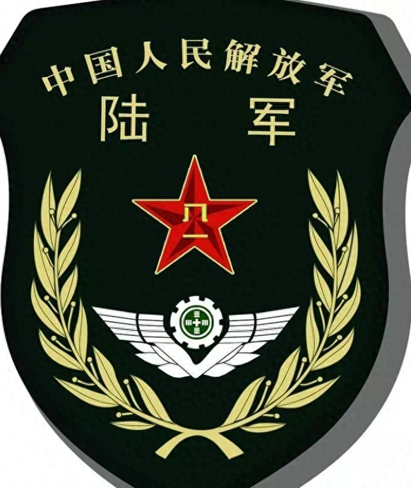 除了13个集团军以外,还有哪些单位可以佩戴"陆军"臂章?