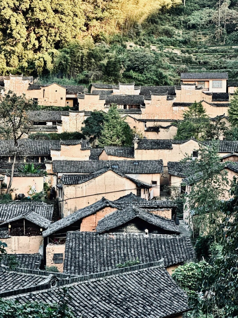 松阳古村落地图图片