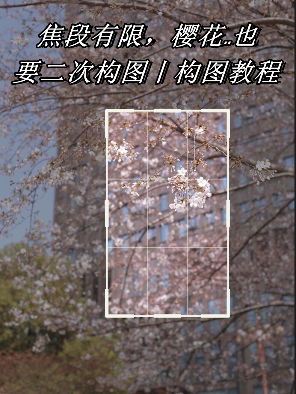 学画家构图摄影教程，一分钟就会