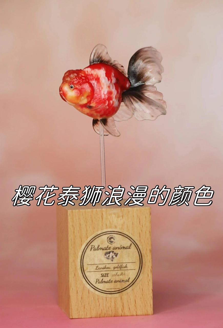 樱花泰狮浪漫的颜色  泰狮中的樱花配色,堪称色彩之梦.