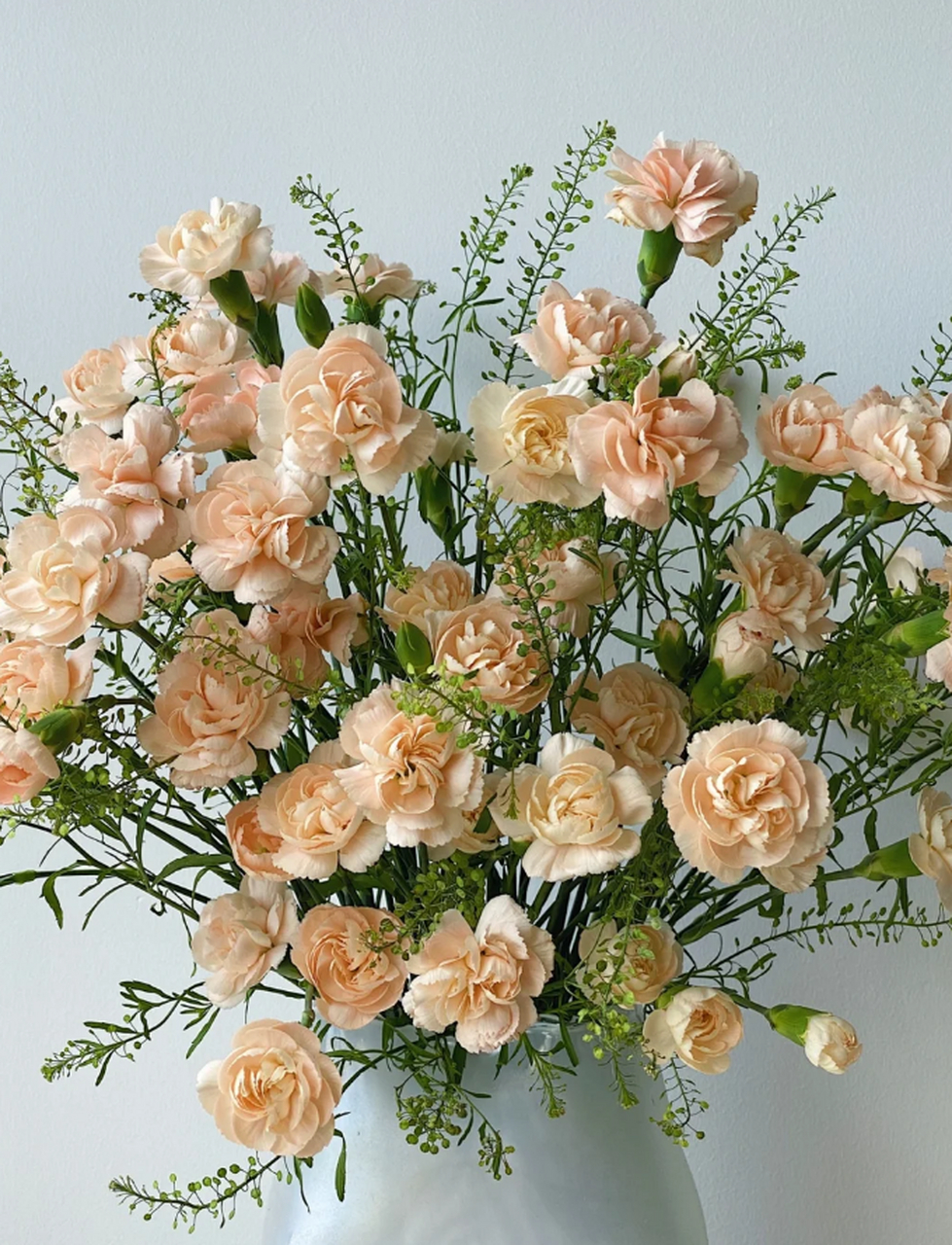 温柔之源——香槟色多头康乃馨的魅力 生活中总有些小小的惊艳时刻,让