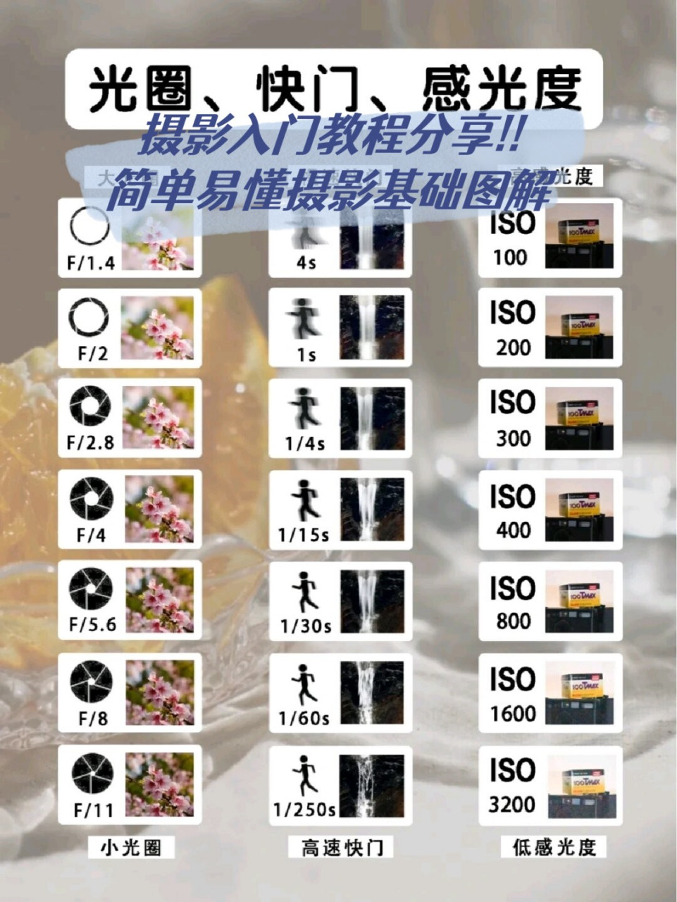 包含摄影拍摄技巧之入门教程的词条