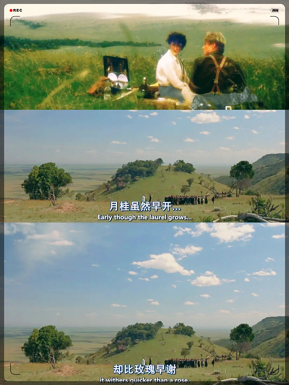 走出非洲影评