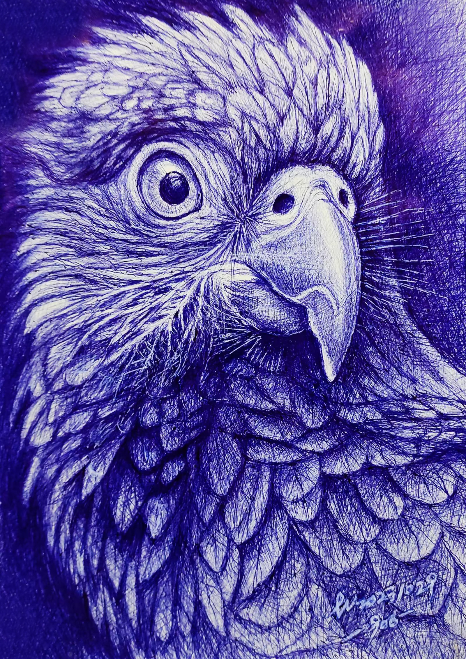 圆珠笔素描集1