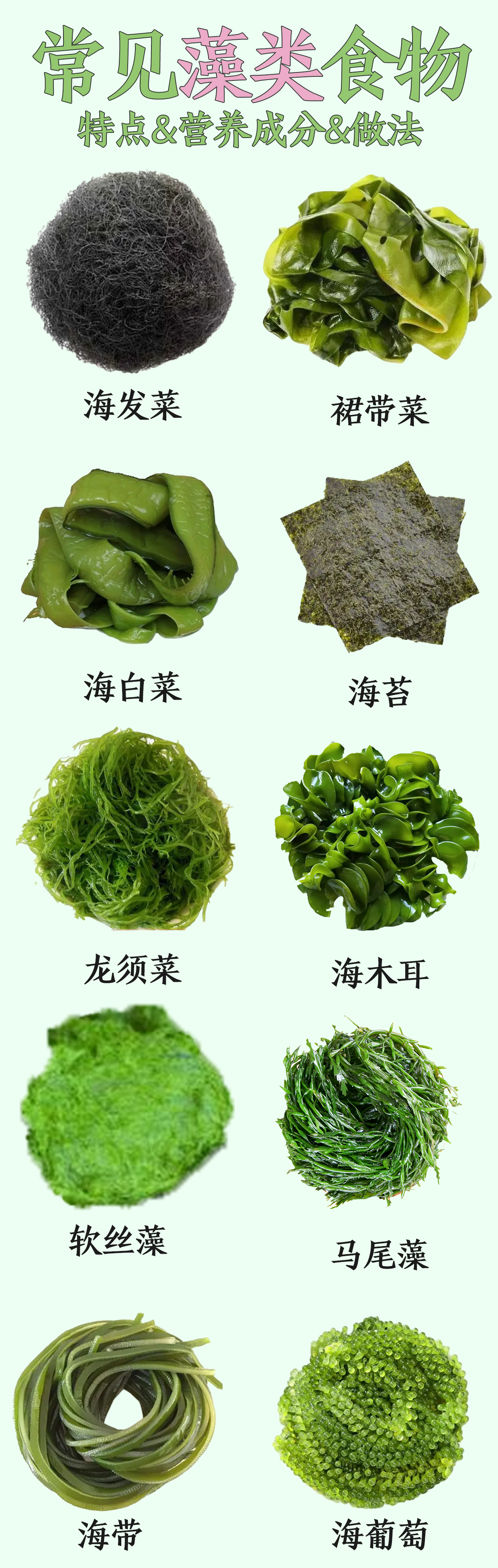 藻类植物图片及介绍图片