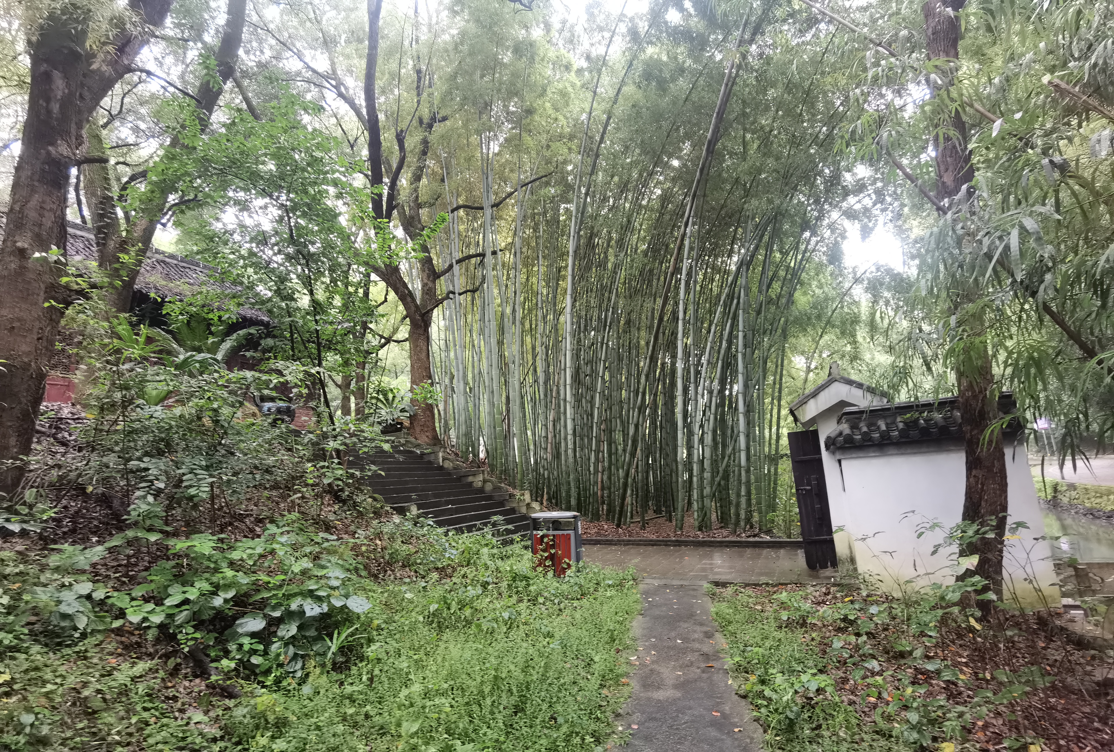 在黄州寻找东坡雪堂