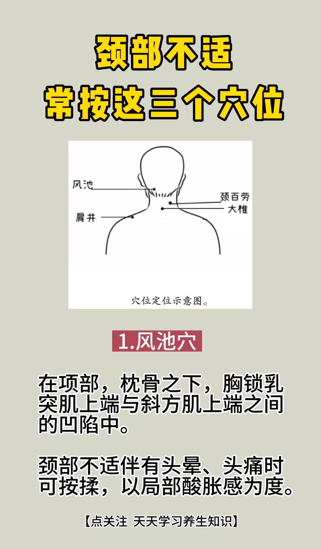 枕骨斜坡位置图片