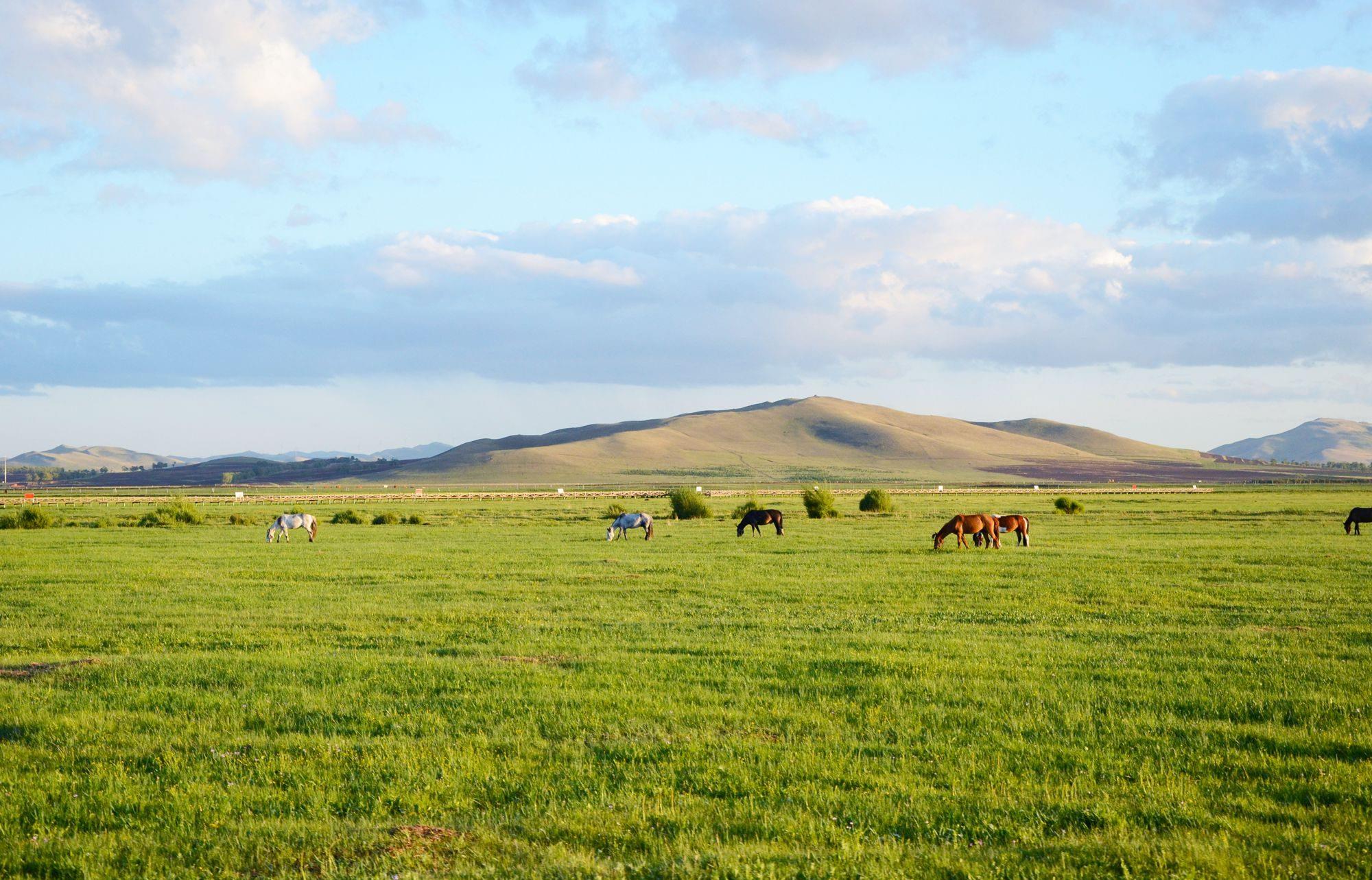承德丰宁京北第一草原,环境优美,空气清新,是休闲避暑的好去处