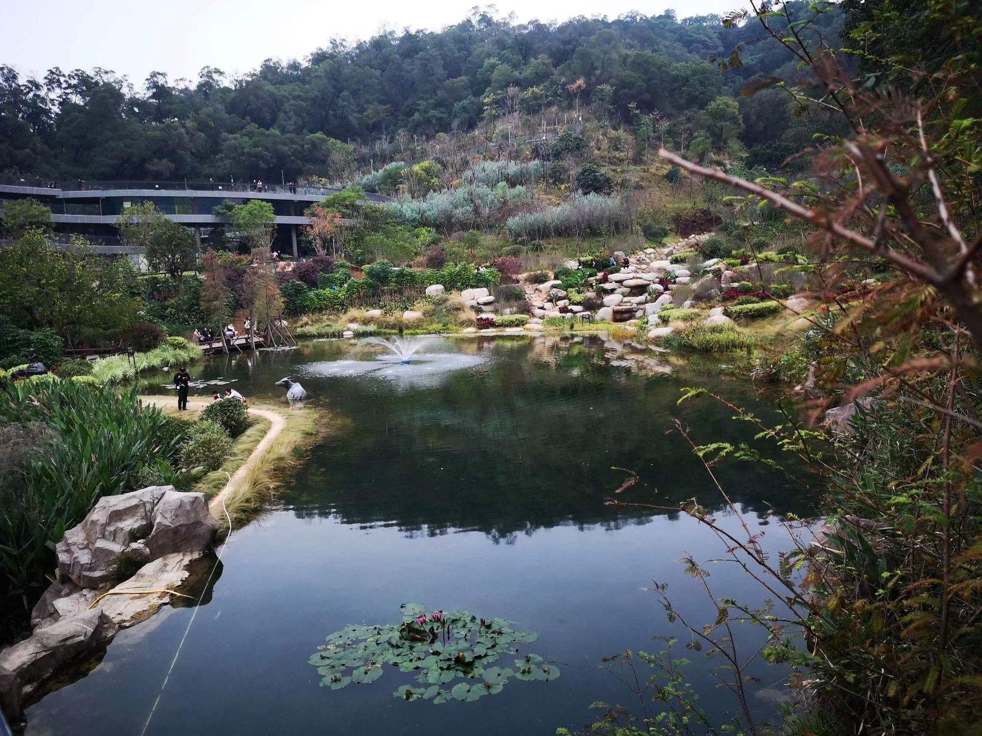 新年第一站福山郊野公园,品尝福州老字号菜头饼,回归心灵的净土