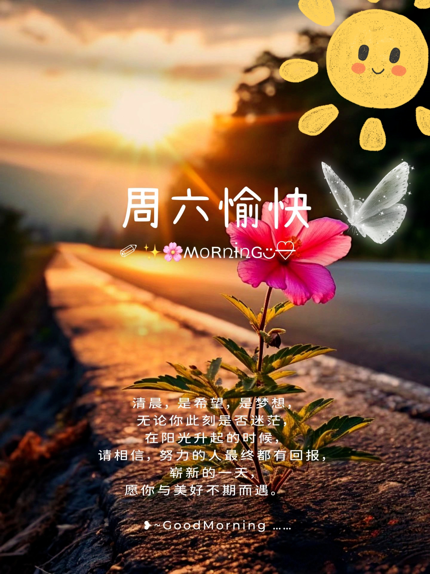 周六愉快 努力的人最终都有回报, 崭新的一天,愿你与美好不期而遇