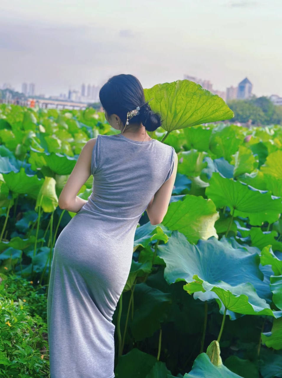 荷塘景色撩人心弦,荷叶荷花美人江湖  