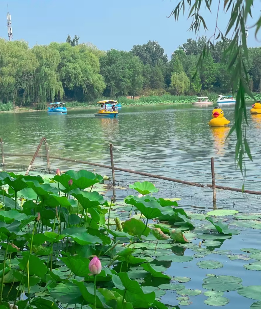 北京朝阳区朝阳公园美景尽收眼底