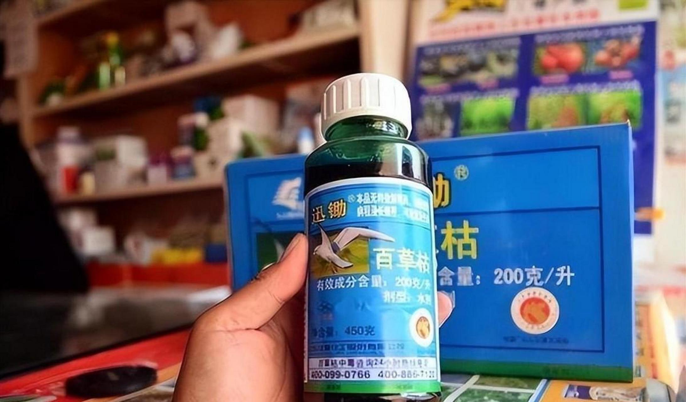 百草枯是备受农民欢迎的除草剂,因价格低廉,效果显著而受到广泛欢迎.