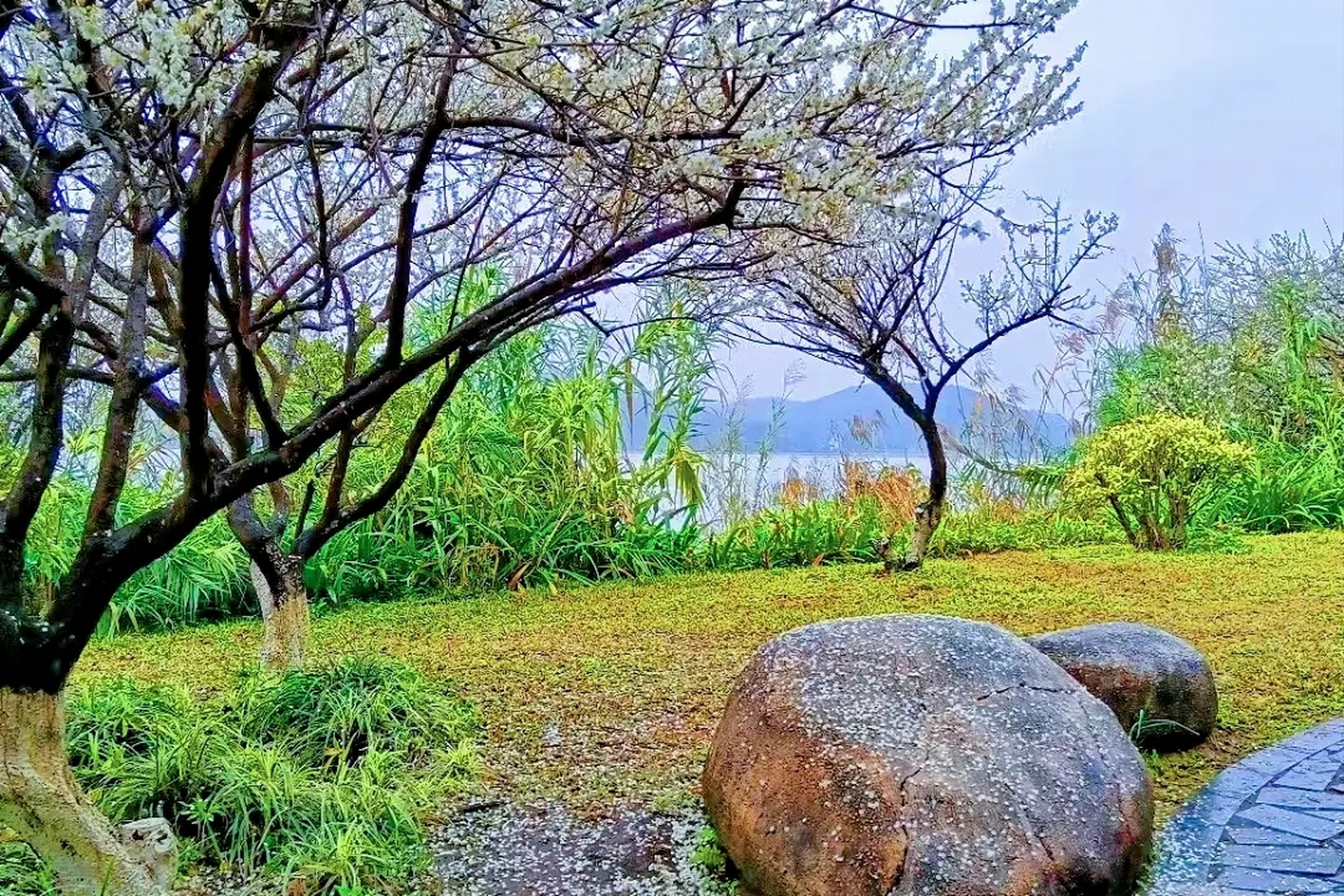 挂绿湖是广州市增城区一处景色优美的生态湿地公园,也是当地市民休闲