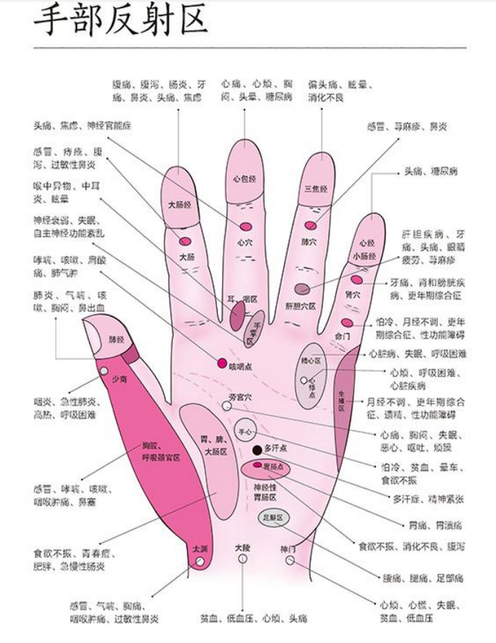 五指对经络,手掌经络大全  大拇指头通肺经 食指通着大肠经 里侧中指