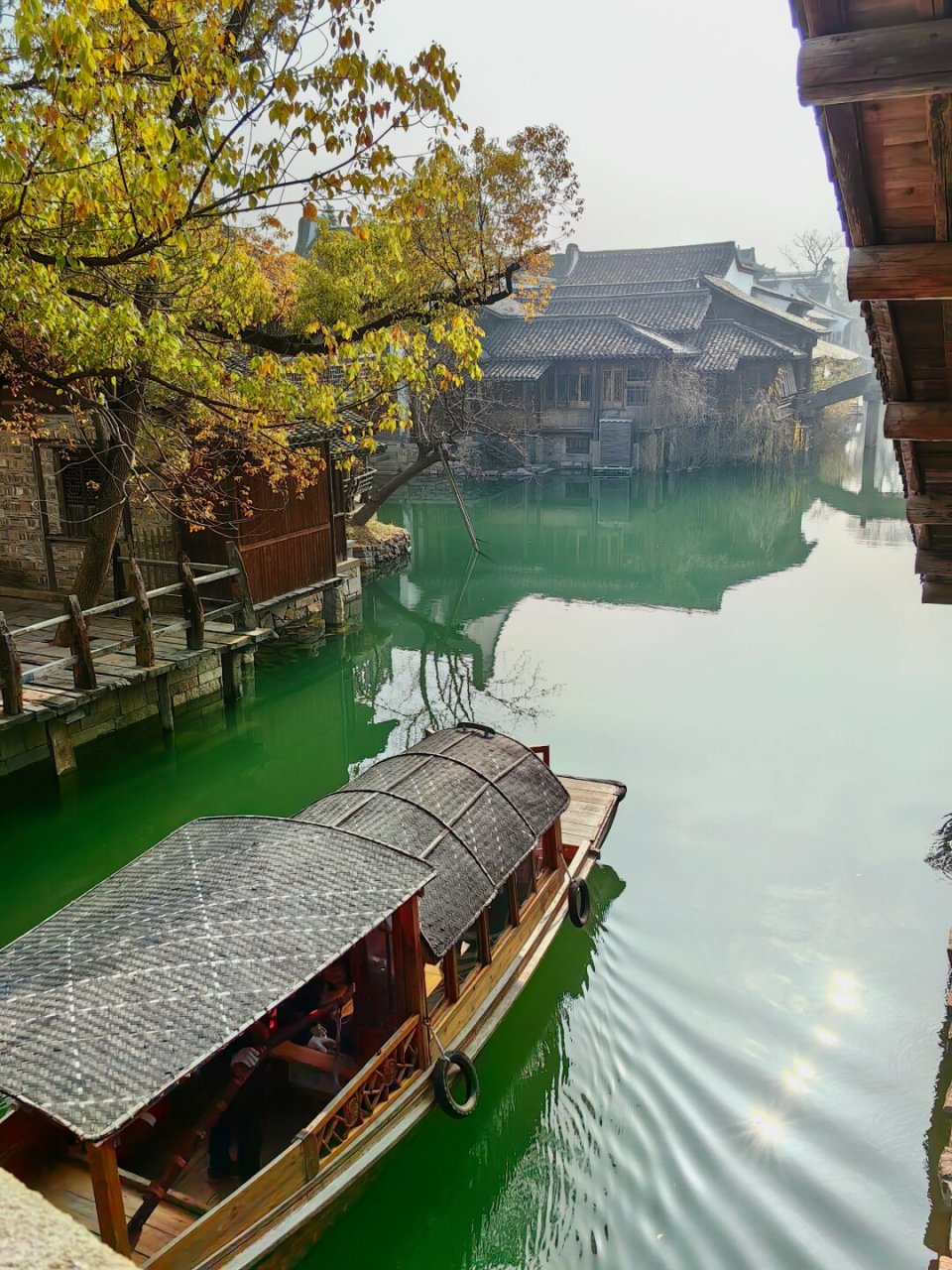 旅游濮院古镇  探寻千年银杏的奥秘,体验古刹与茶舍的宁静.