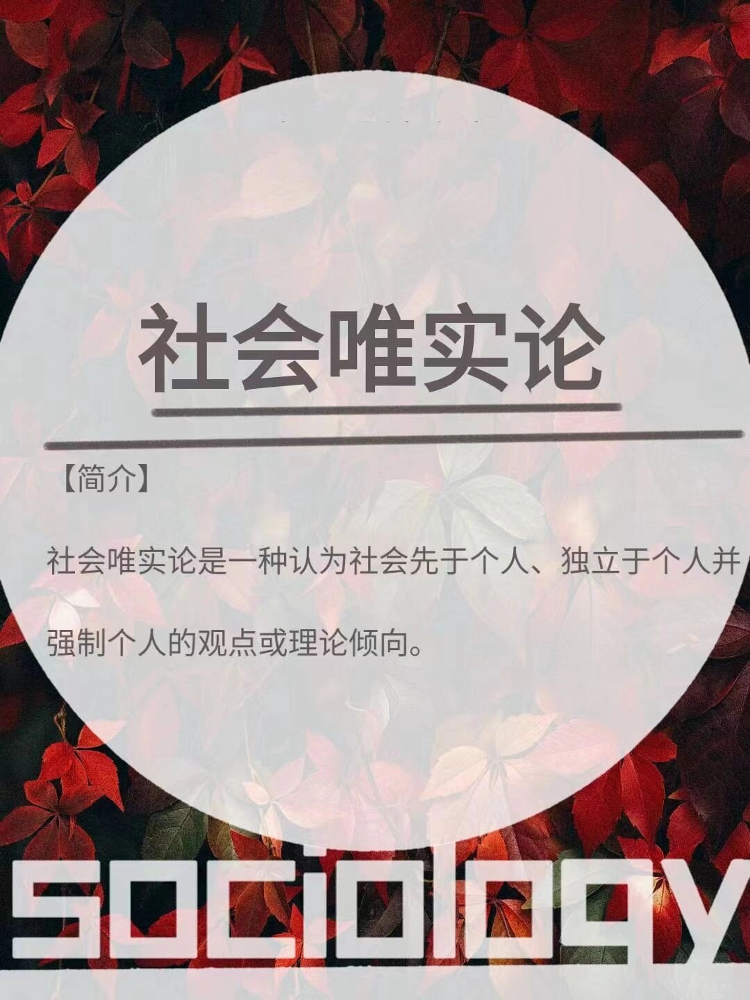 核心观点: 该观点强调社会的实体性和客观性,认为个体是社会框架内