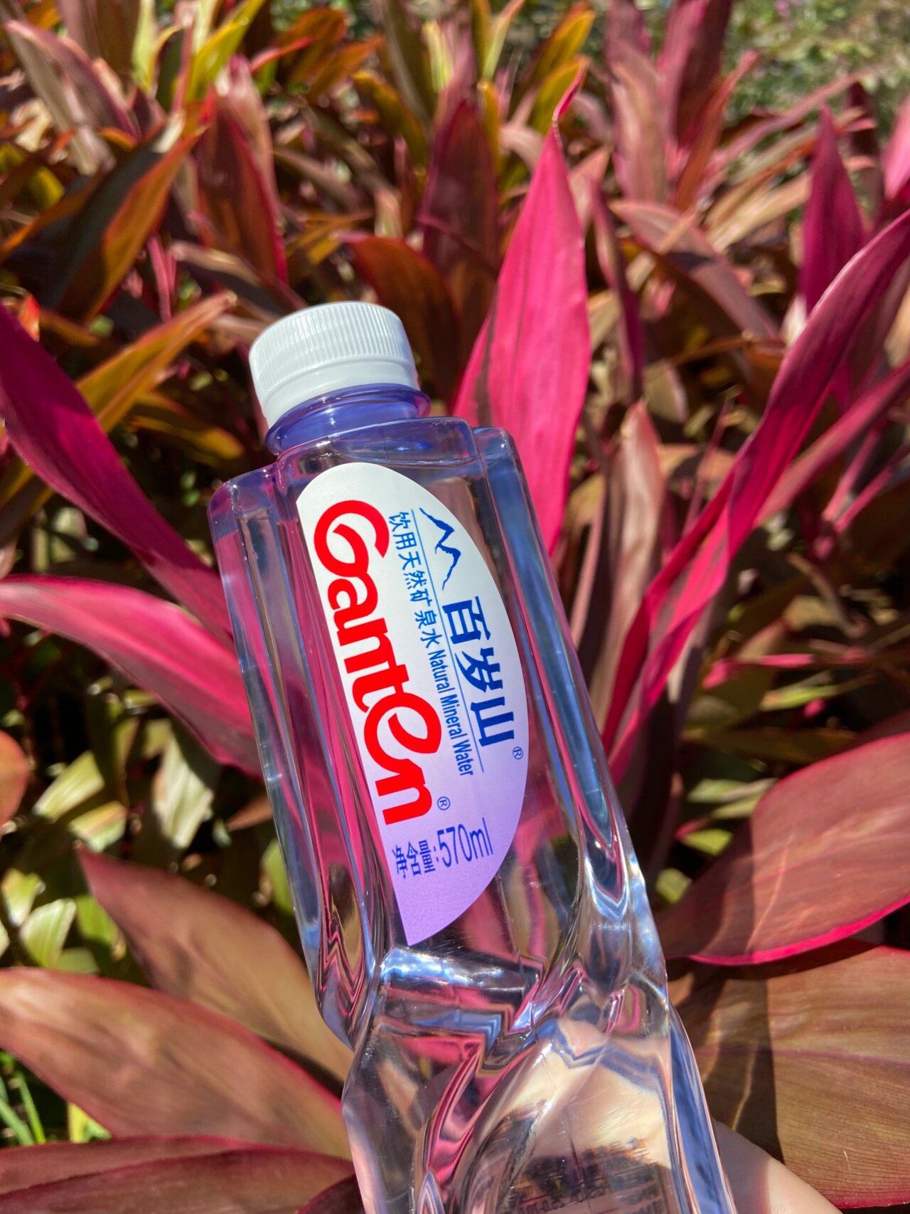 天冷也要多喝水~健康喝水我选它