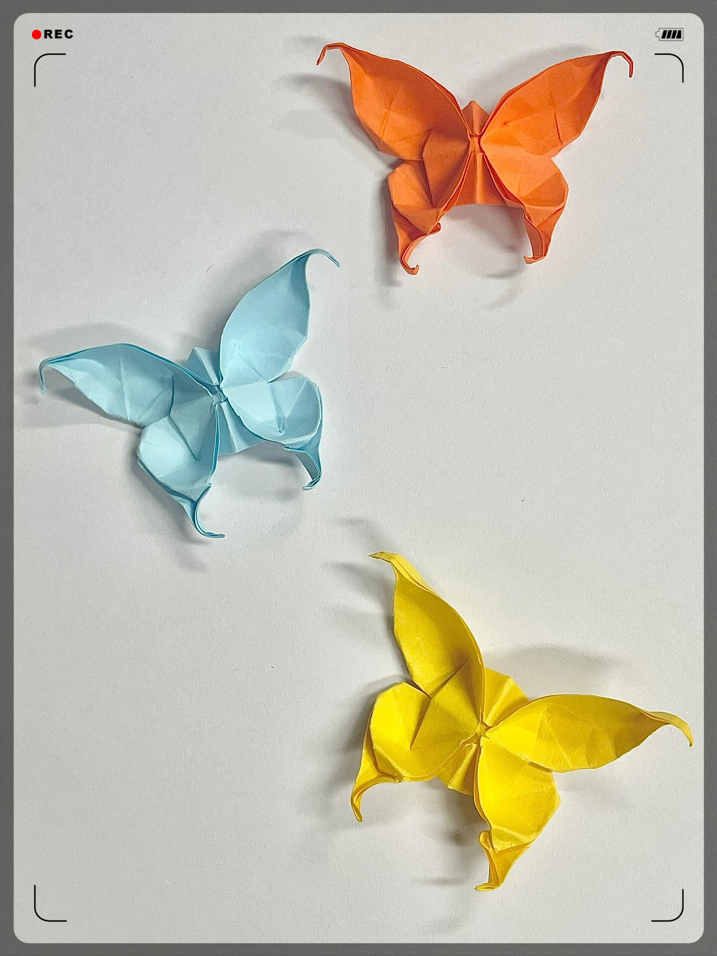 只需简单的折叠,就能将一张普通的纸张变成一只