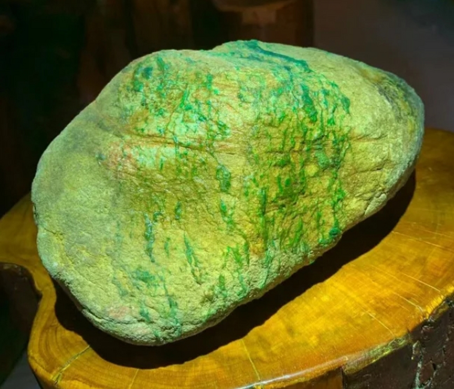 点击头像看直播# #翡翠原石# 5公斤老坑木那黄岩沙手镯色料,料子凶创